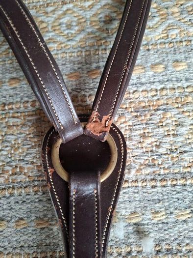 Breastplate 5 point.Shires