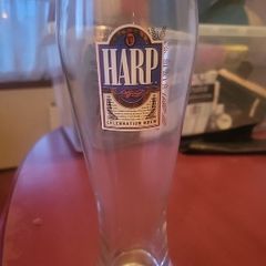 Harp pint glass. Celebrating the 1994 Soccer World Cup
