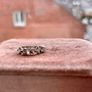 Lab Diamond 925 Silver Multi Shape Half Eternity Band Ring Image 2