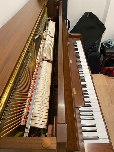 Yamaha U1 Upright (with optional Silent system)