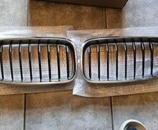 BMW kidneys grill