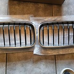 BMW kidneys grill