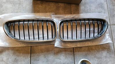 BMW kidneys grill
