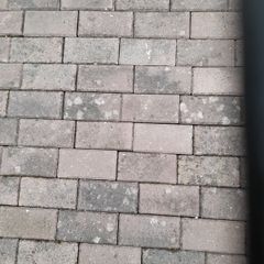 Cobble Bricks - only 1e Each