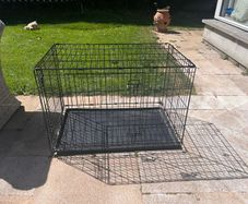 Large dog crate