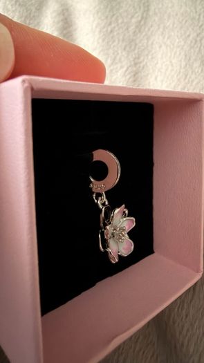 Pandora charm