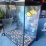 Aquarium Fish tank Image 2