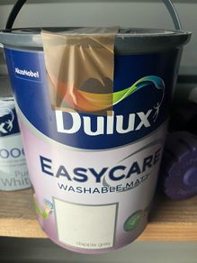 Paint