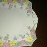 Tuscan China PLANT big plate Image 4