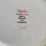 Spode Avignon teapot Image 8