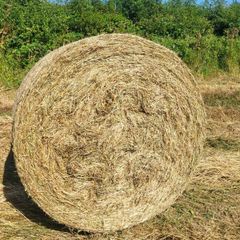 Hay Organic Hay