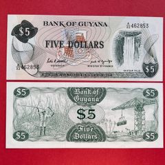 Guyana. 5 Dollars  1989. Pick 22g  ( Uncirculated )