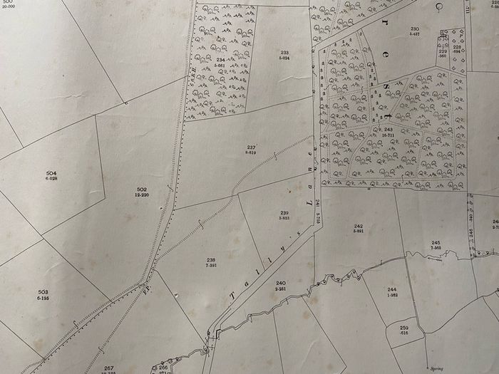 maps  have a set of early 20th-century Ordnance Survey (OS) County Series maps for Somerset, England 1903