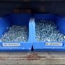 Nuts-bolts-brass-stainless Image 2