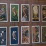 Full set of bird cigarette card's,  1976 black cat Image 6