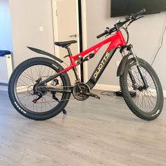 Electrical bicycle