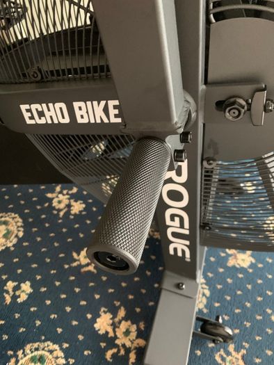 Rogue Echo Bike