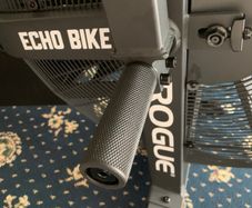 Rogue Echo Bike