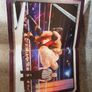 wwe magazine and sticker books Image 2