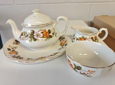 Vintage English Ironstone Tea Set from Royal Brampton