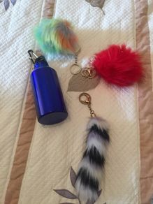 schoolbag keyrings and clip on water bottle