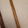 Walking sticks Image 9