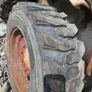 Bobcat Image 2