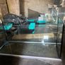 Fish tank Image 4