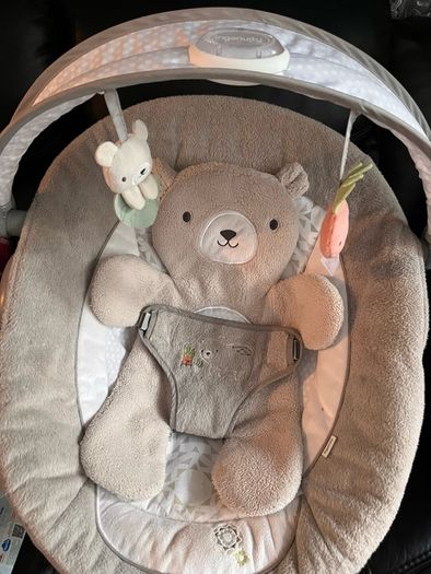 baby bouncer
