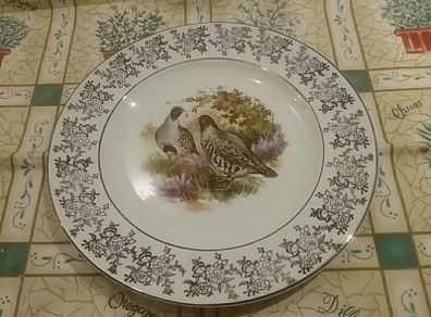 Display Plate Ceramics Pottery Delph collector tableware