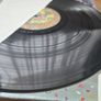 Prince vinyl bundle Image 3
