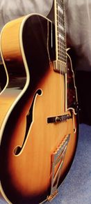 D'angelico Excel EXL-1