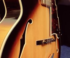 D'angelico Excel EXL-1