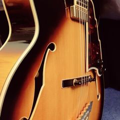 D'angelico Excel EXL-1