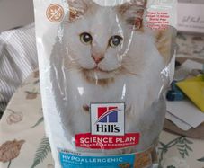 cat food