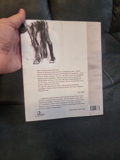 Pony by Tony Curtis, David Lilburn