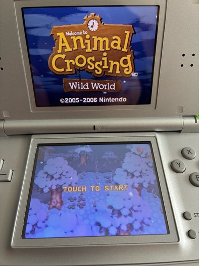 Animal Crossing Wild World DS