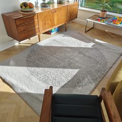 Ikea Rug 240 X 170