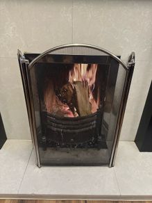 Stunning Fire Guard Excellent Condition