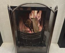 Stunning Fire Guard Excellent Condition