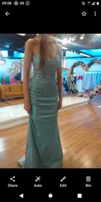 Dani's Showroom Debs Dress/TY Ball Dress