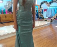 Dani's Showroom Debs Dress/TY Ball Dress