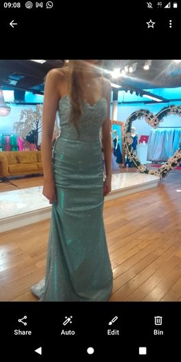 Dani's Showroom Debs Dress/TY Ball Dress
