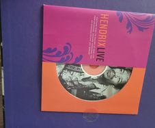 Jimi Hendrix illustrated experience