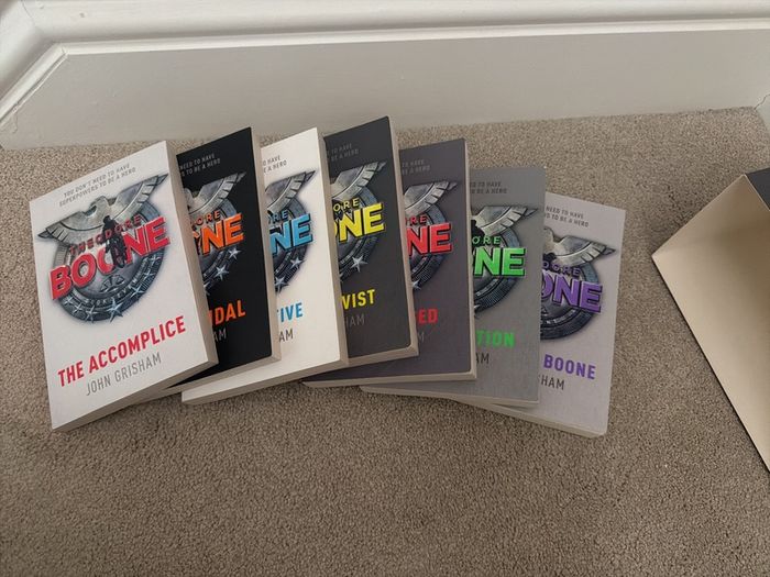 Theodore Boone book series