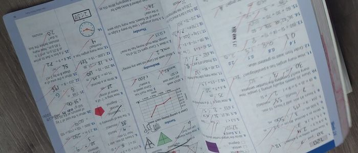 English in practice and mental Maths 4  please read description below