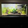 Aquarium full set Image 5