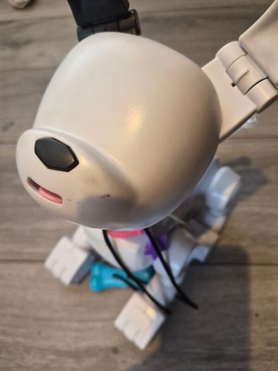 robot dog