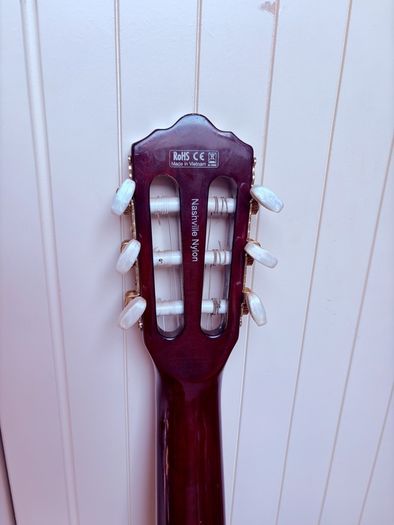 Semi acoustic electric guitar