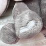 Disney Baby Dumbo Plush Soft Medium 25cm. Rainbow Designs Circus Dirty Please see photos Image 10